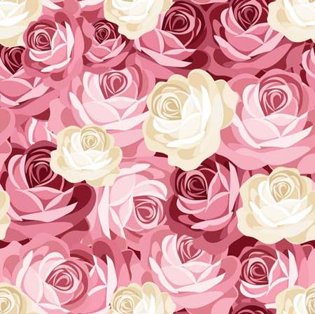 distribuidor de empapelado,flor,rosa,rosado,modelo,rosas de jardín