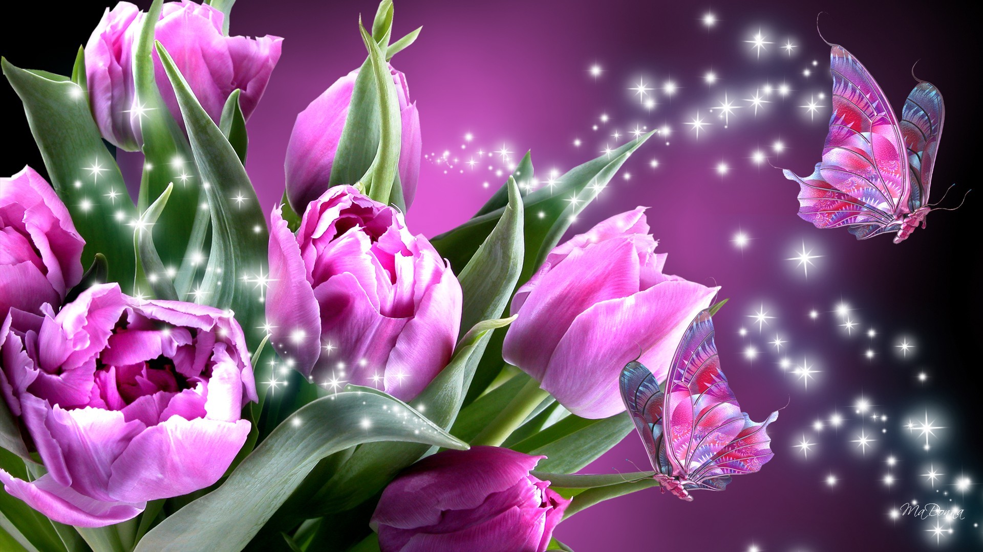 mariposa rosa de pantalla en vivo,flor,planta floreciendo,pétalo,rosado,planta