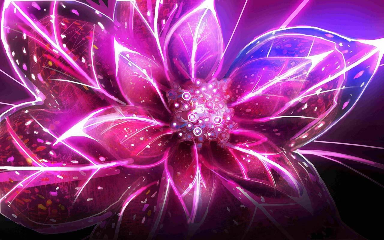 ネオンの花の壁紙,紫の,ピンク,フラクタルアート,バイオレット,光
