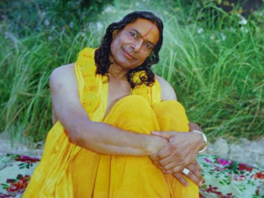bhakti live wallpaper,jaune,abdomen,la photographie,sari,séance photo