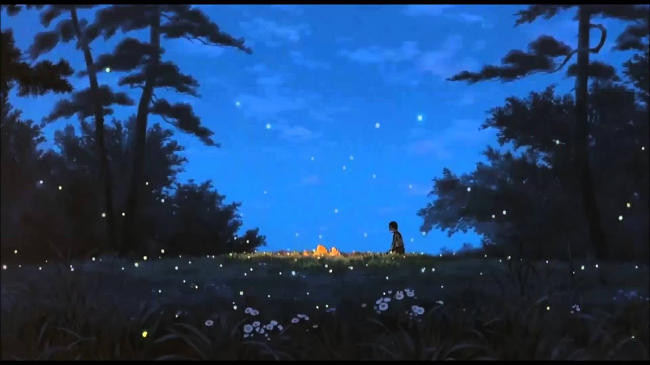 tumba de las luciérnagas fondo de pantalla,cielo,naturaleza,atmósfera,ligero,noche