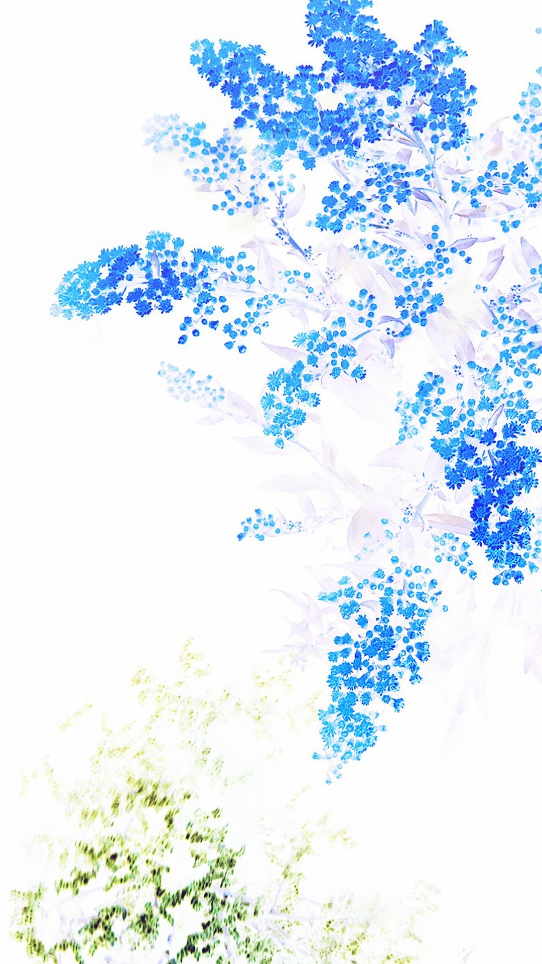 fondo de pantalla blanco completo,azul,planta,modelo