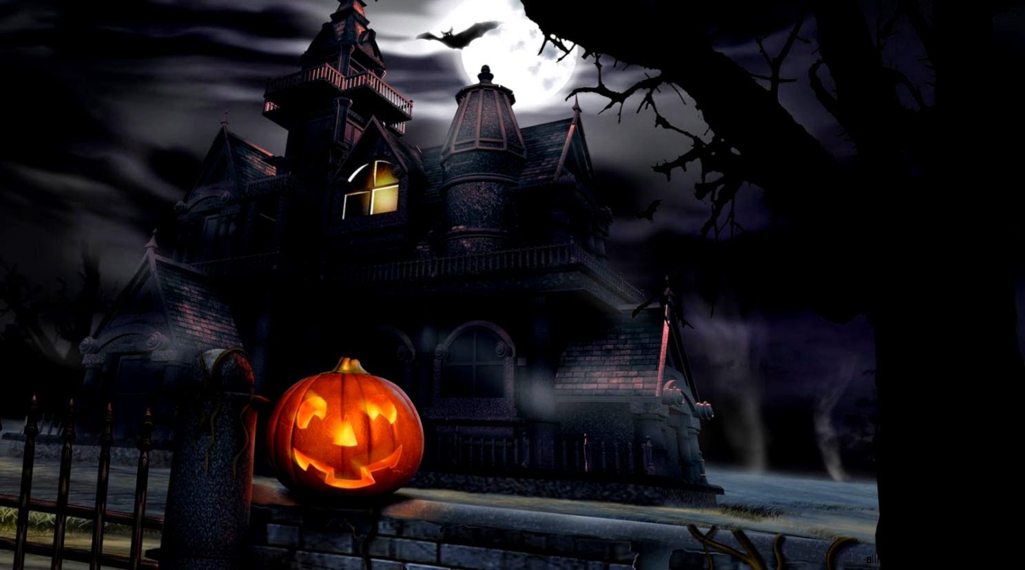 miglior sfondo di halloween,dolcetto o scherzetto,buio,jack o lantern,finzione,zucca