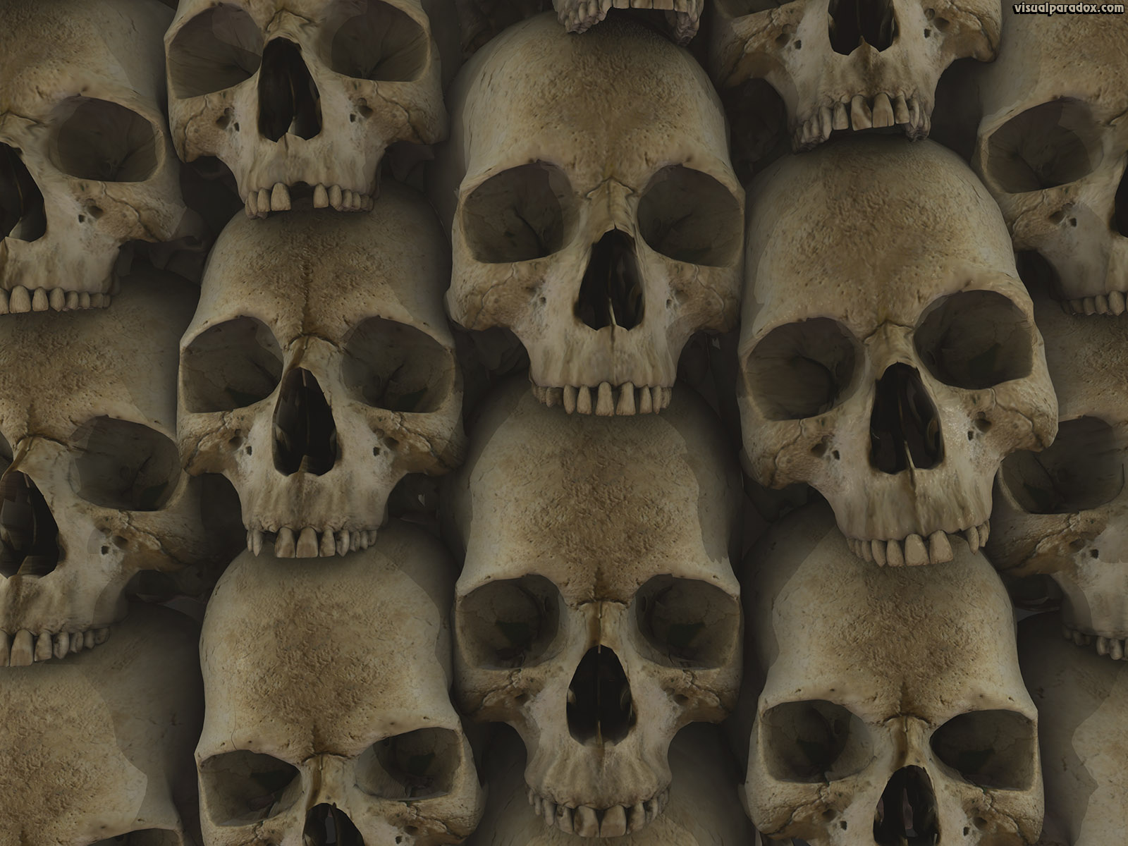 carta da parati totenkopf,osso,cranio,testa,antropologia,scheletro