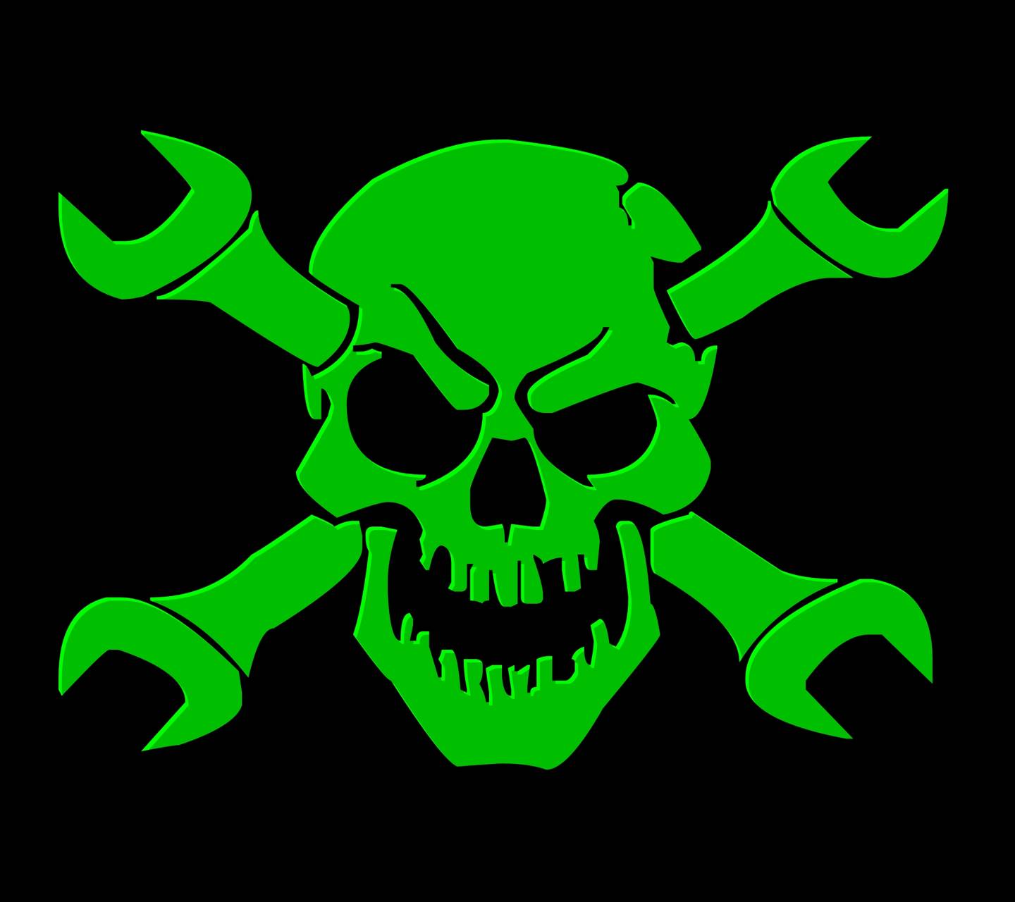 fond d'écran crâne vert,vert,os,crâne,symbole,emblème