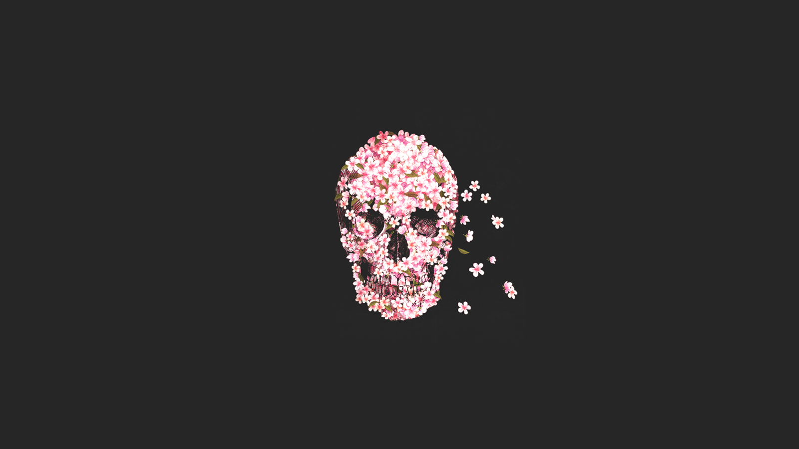 두개골과 꽃 벽지,분홍,폰트,그래픽 디자인,생기,삽화