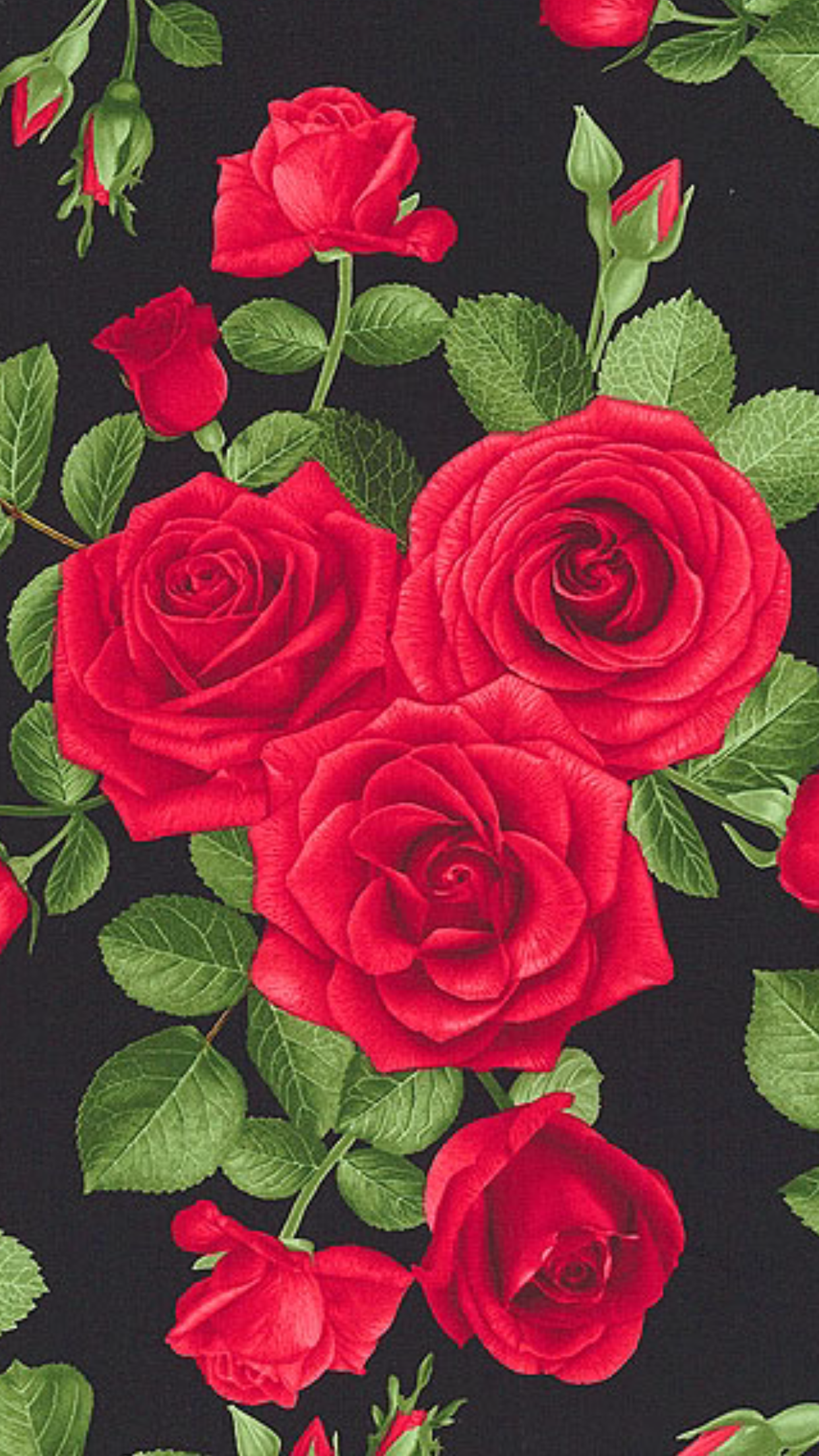 fond d'écran de rosas,fleur,plante à fleurs,roses de jardin,rose,floribunda