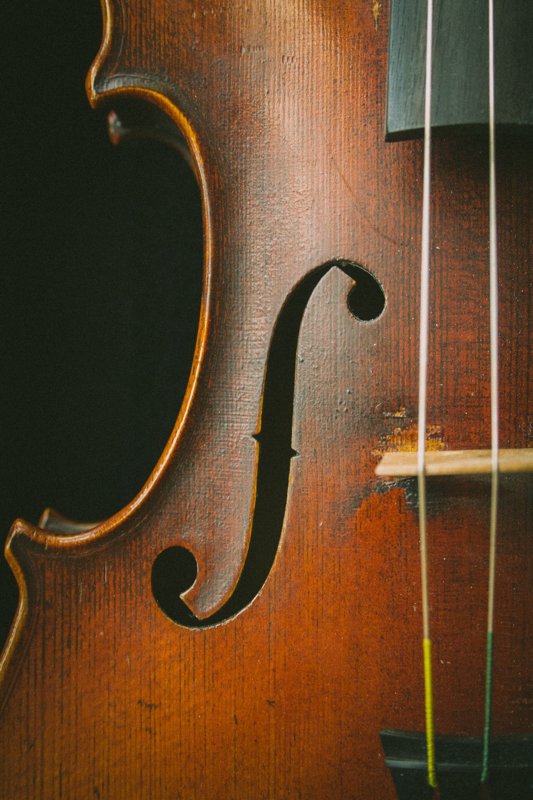 チェロの壁紙,バイオリン,ビオラ,トロロチェ,楽器