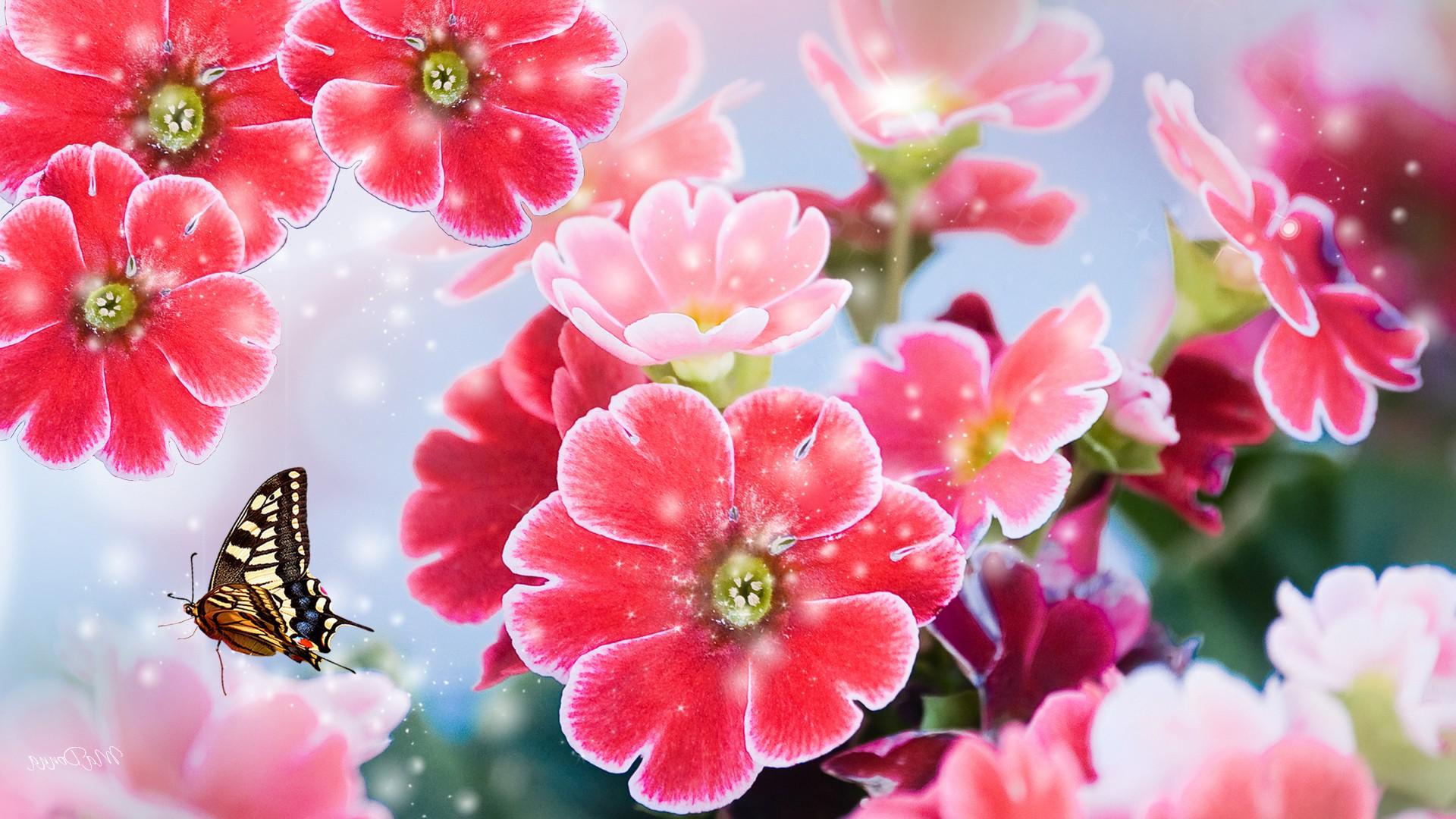 밝은 꽃 무늬 벽지,꽃,분홍,꽃잎,식물,꽃 피는 식물