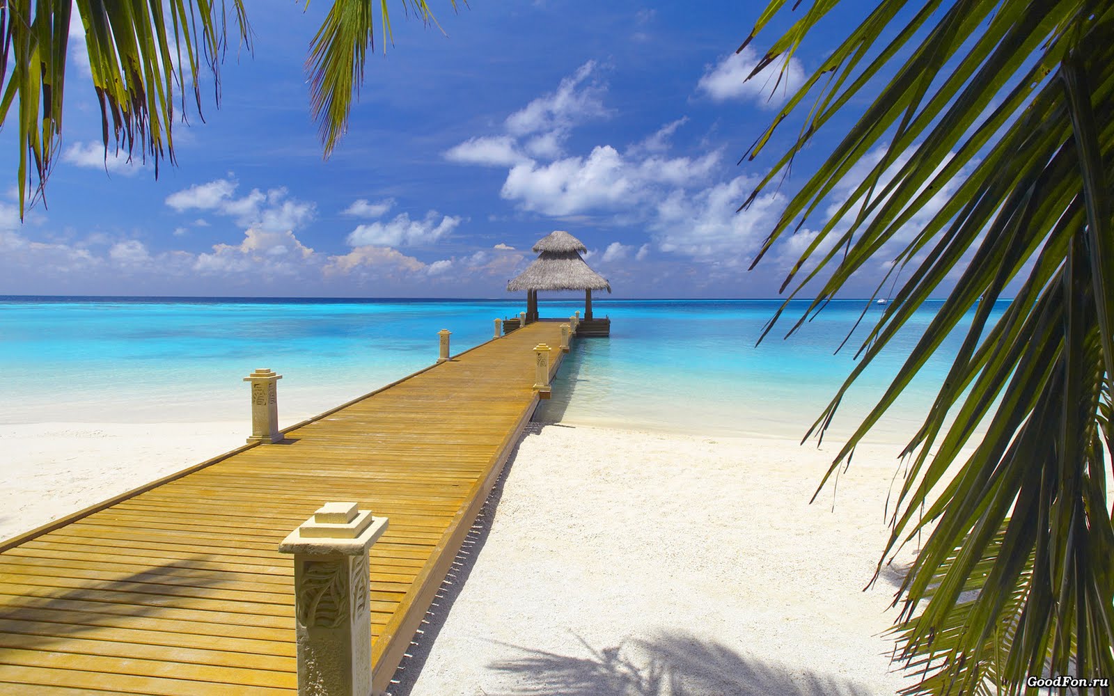 fond d'écran bahamas,caraïbes,vacances,plage,arbre,palmier