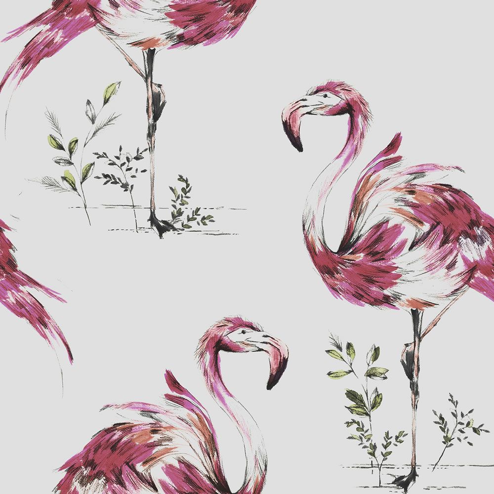 ola fondo de pantalla,pájaro,flamenco mayor,rosado,flamenco,ave acuática
