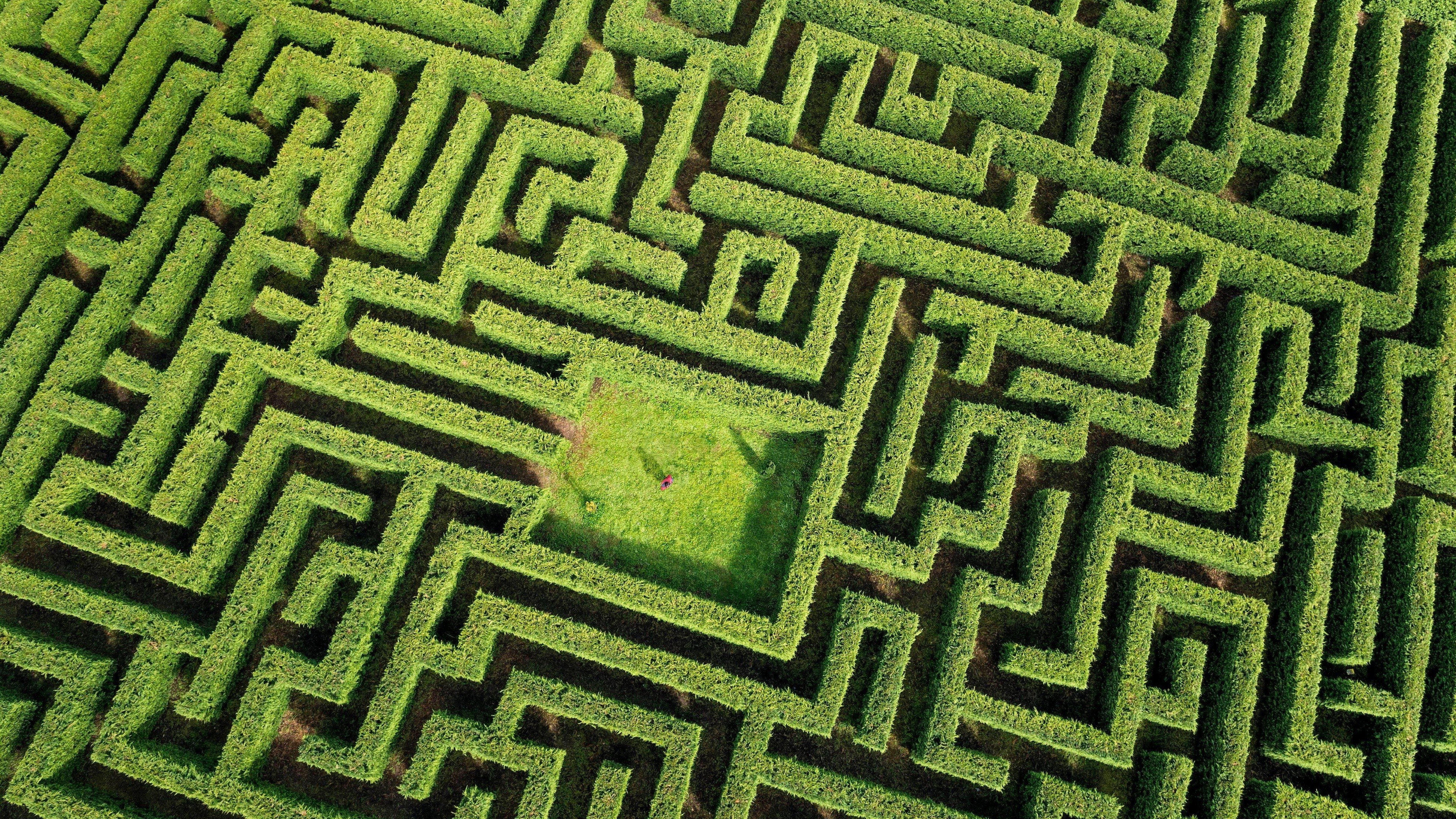 labyrinth tapete,grün,spielzeug,puzzle,muster,gras