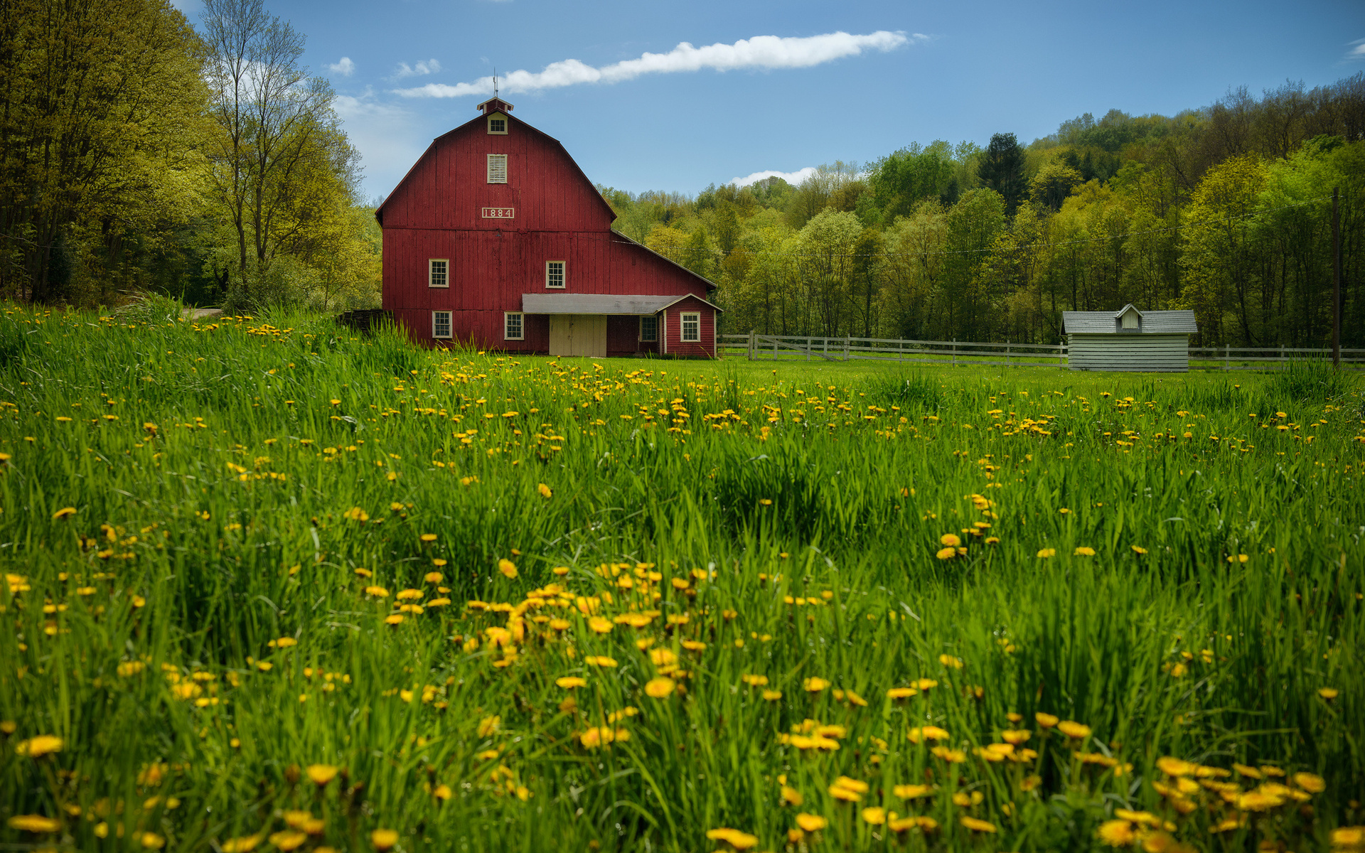 Dandelions Barn Trees Meadow Wallpaper Background - Country Side 