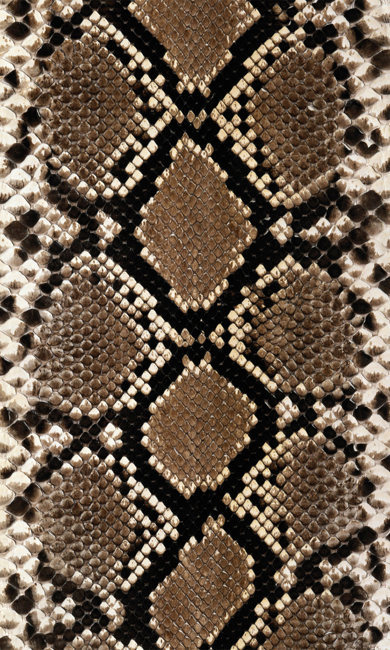 ヘビ革の壁紙,パターン,褐色,ヘビ,爬虫類,設計