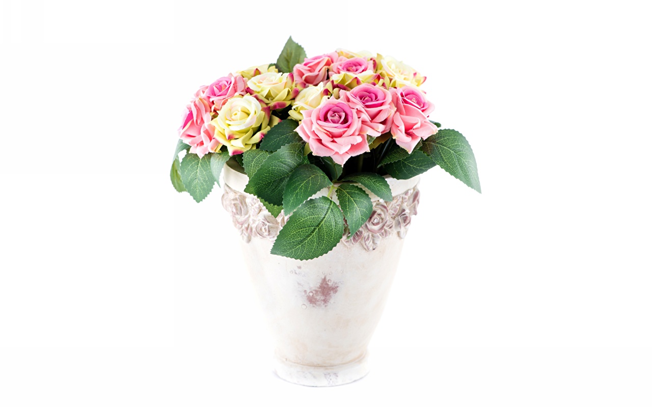 carta da parati vaso di fiori,fiore,vaso di fiori,rosa,tagliare i fiori,mazzo