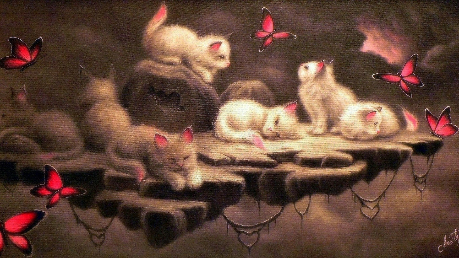ファンタスティック壁紙,ネコ,子猫,ネコ科,中型から中型の猫,ひげ