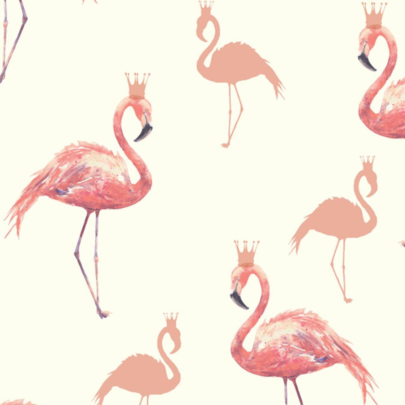 flamingo wallpaper b&q,bird,greater flamingo,flamingo,pink,water bird