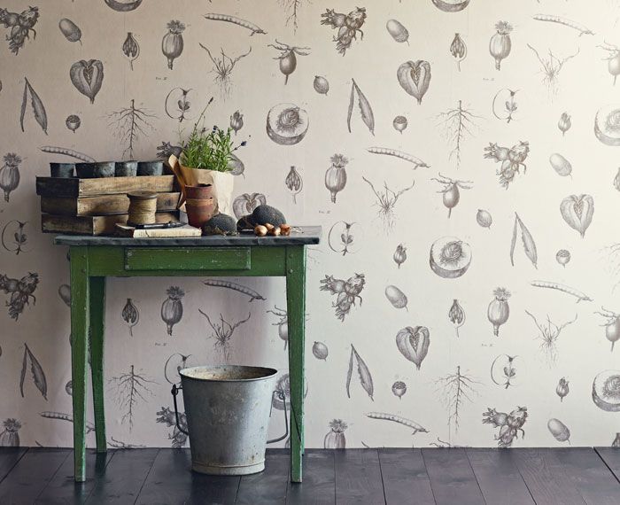 range wallpaper designs,wand,hintergrund,blumentopf,möbel,zimmer