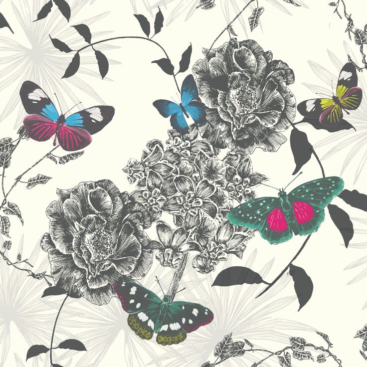蝶の壁紙b＆q,バタフライ,パターン,蛾と蝶,昆虫,工場