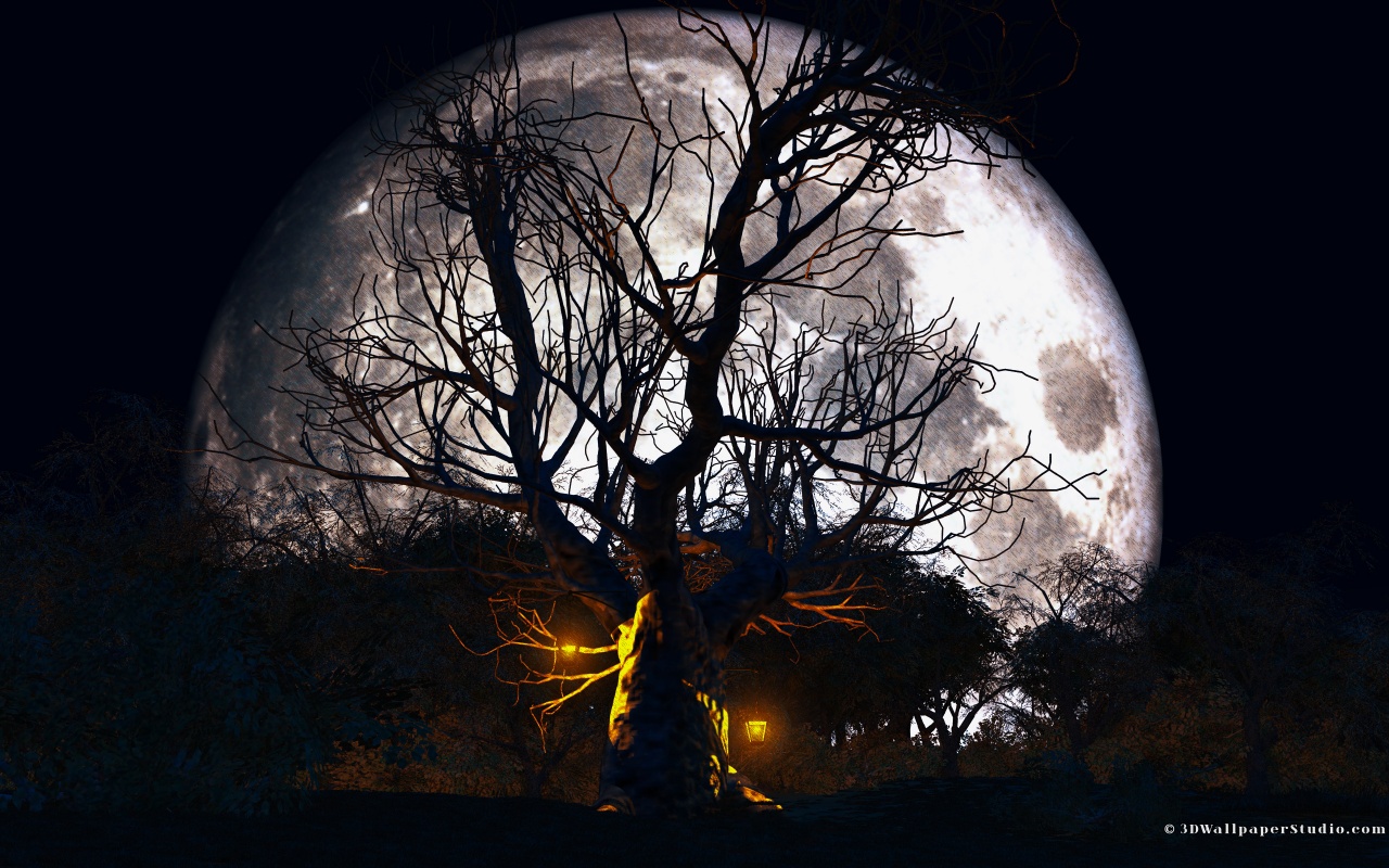 halloween carta da parati 3d,natura,albero,cielo,buio,leggero
