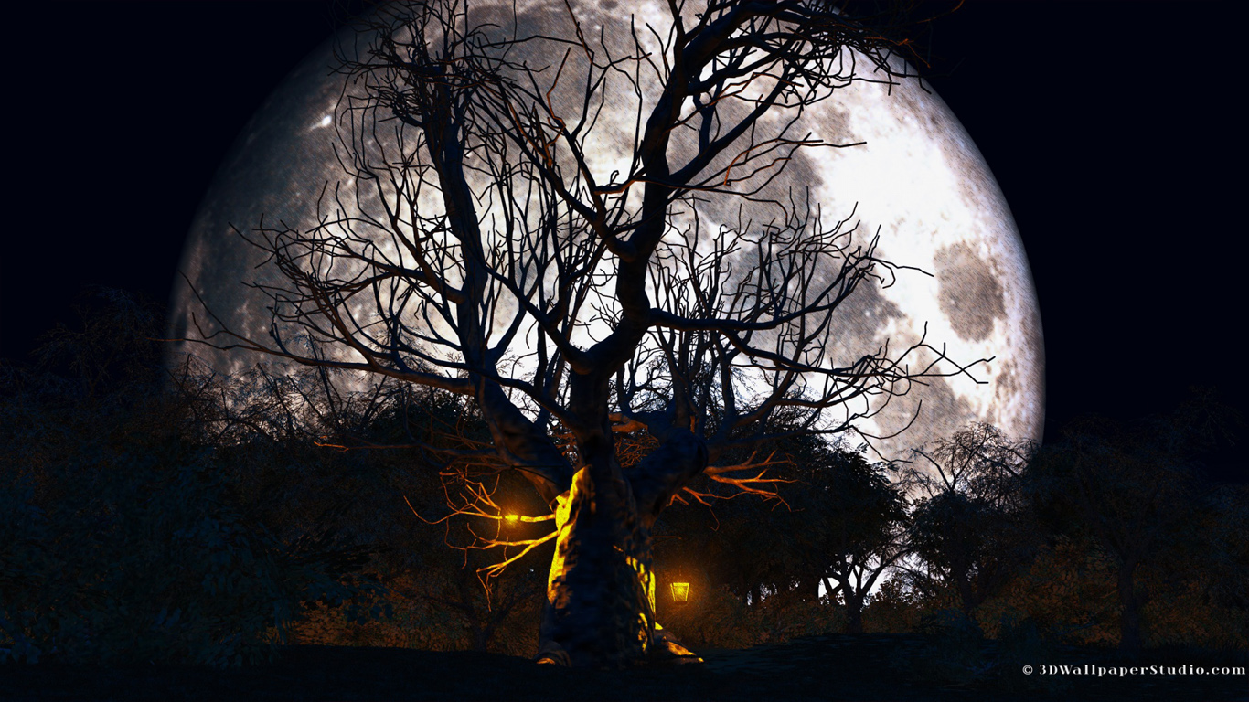 halloween carta da parati 3d,natura,albero,cielo,buio,leggero