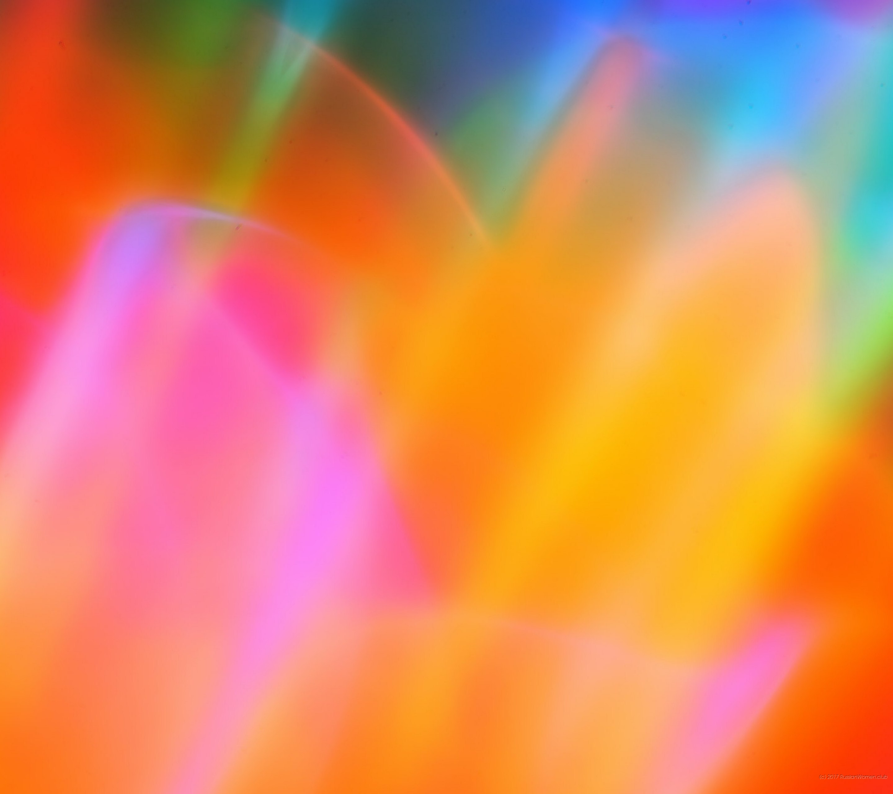 letv fondo de pantalla hd,naranja,ligero,amarillo,colorido,pétalo