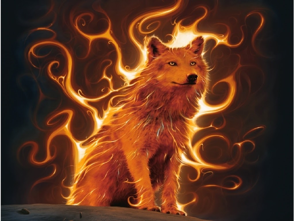 火狼の壁紙,ライオン,火炎,ネコ科,熱,大きな猫