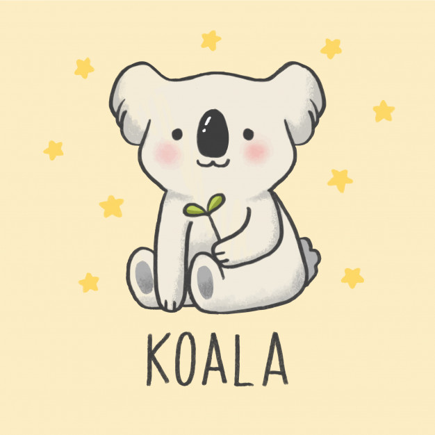 fond d'écran karikatur,koala,dessin animé,marsupial,texte,ours