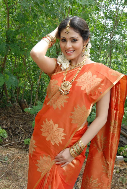 sada wallpaper,orange,kleidung,sari,pfirsich,abdomen
