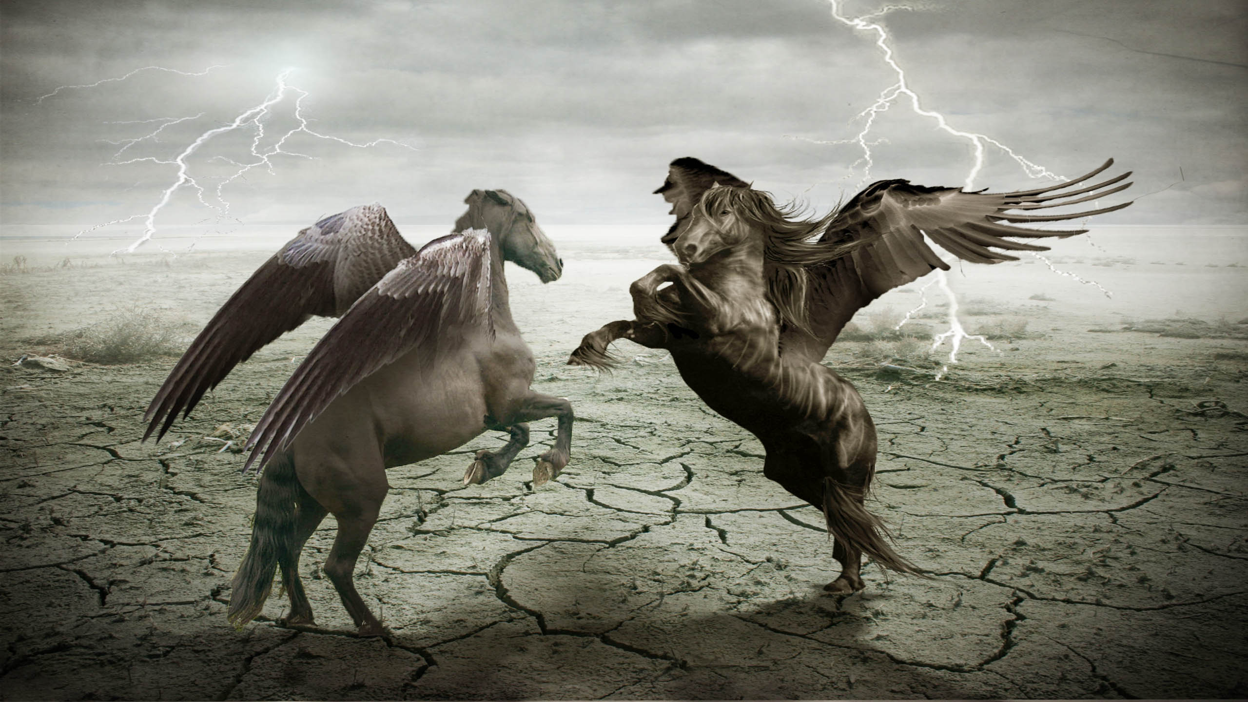 fondo de pantalla de pegasus,mitología,semental,caballo,mustang caballo,personaje de ficción