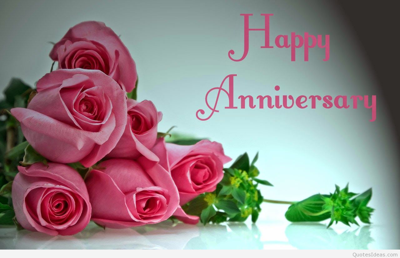 matrimonio aniversario fondos de pantalla descargar,rosado,flor,rosa,rosas de jardín,cortar flores