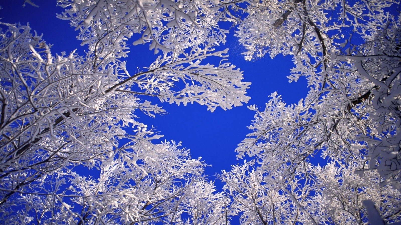 coole hd wallpaper 1080p,blau,frost,winter,einfrieren,kobaltblau