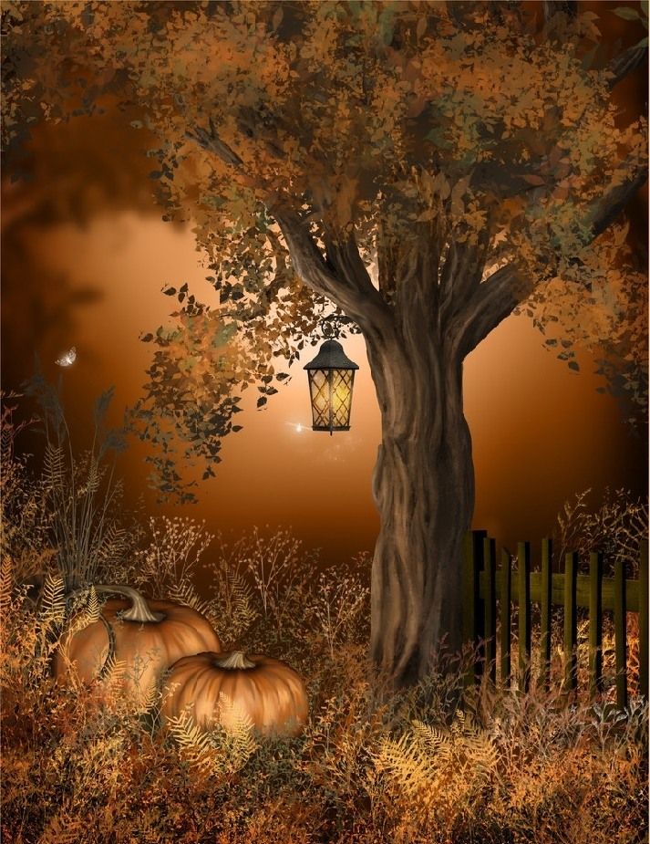 escena de amor fondo de pantalla,paisaje natural,naturaleza,árbol,otoño,hoja