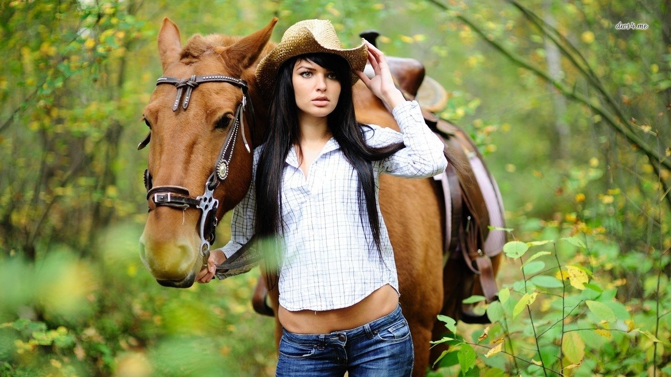 fond d'écran de carte d'humeur,bride,cheval,beauté,chapeau de cowboy,amure de cheval