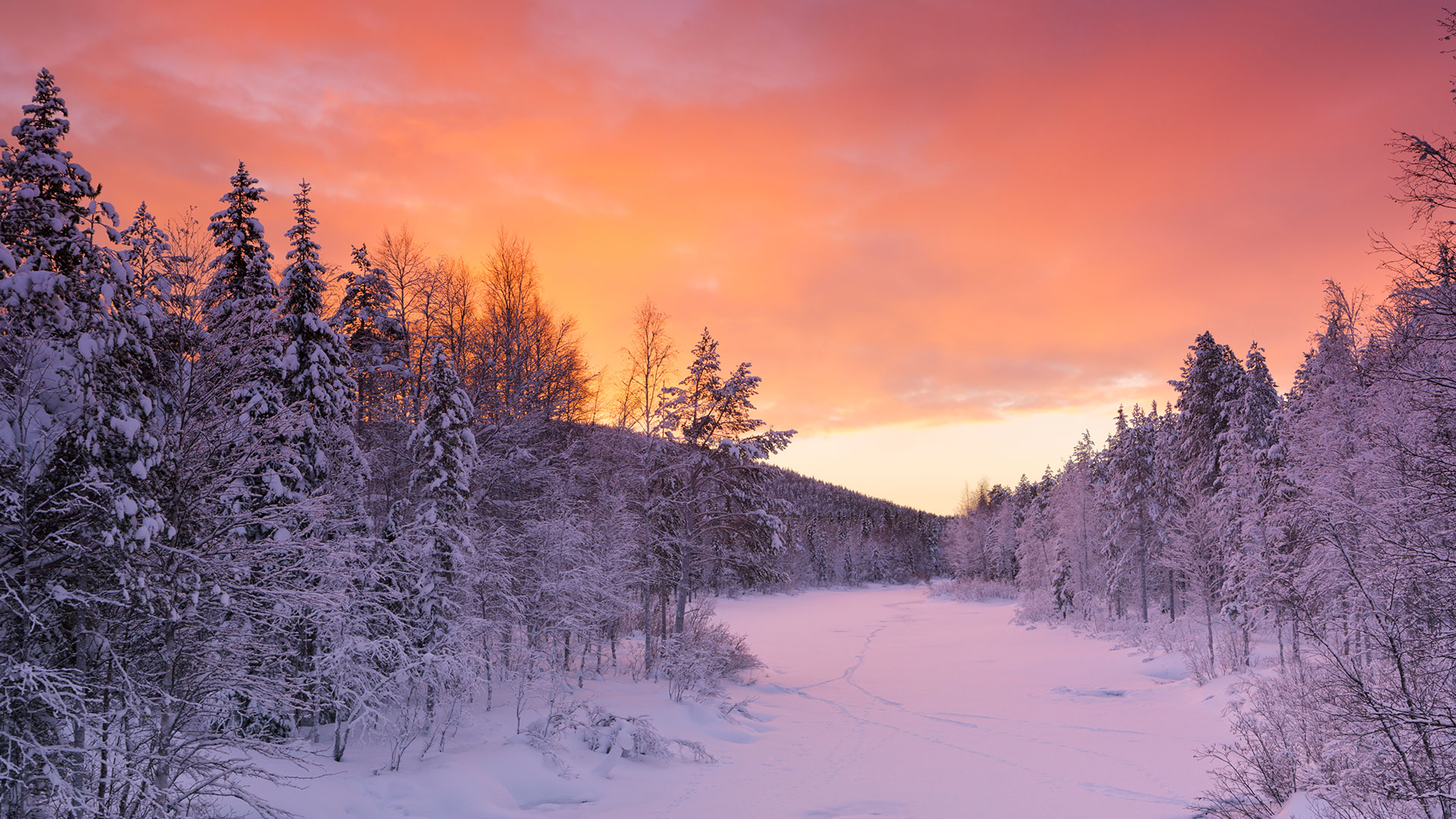 fondo de pantalla nórdico,cielo,invierno,nieve,naturaleza,paisaje natural