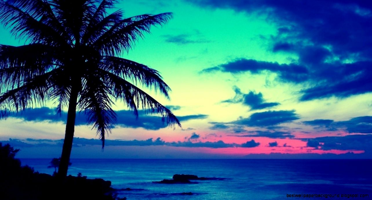 fond d'écran dow,ciel,la nature,océan,arbre,palmier