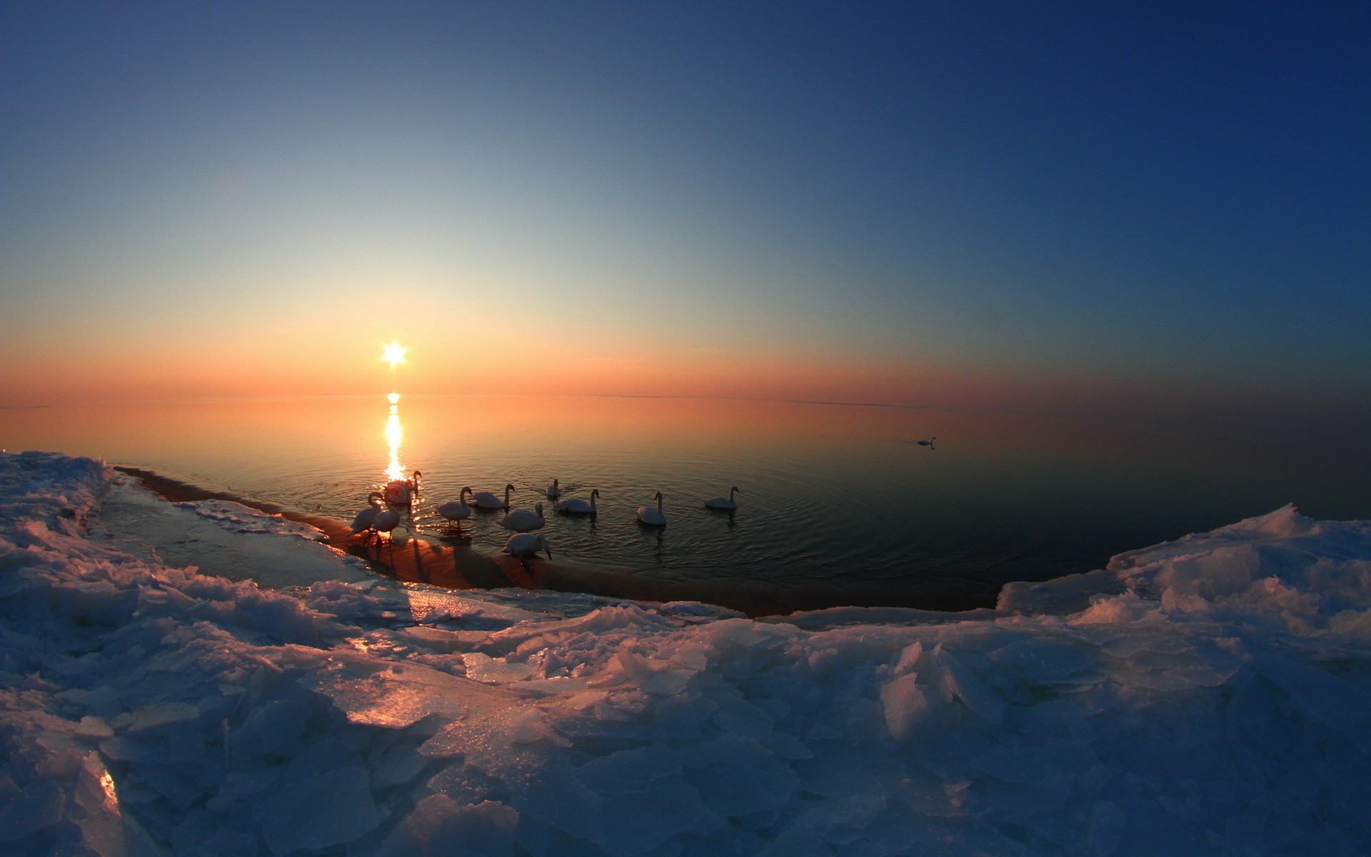 imagen fondo de pantalla,cielo,horizonte,invierno,amanecer,nube
