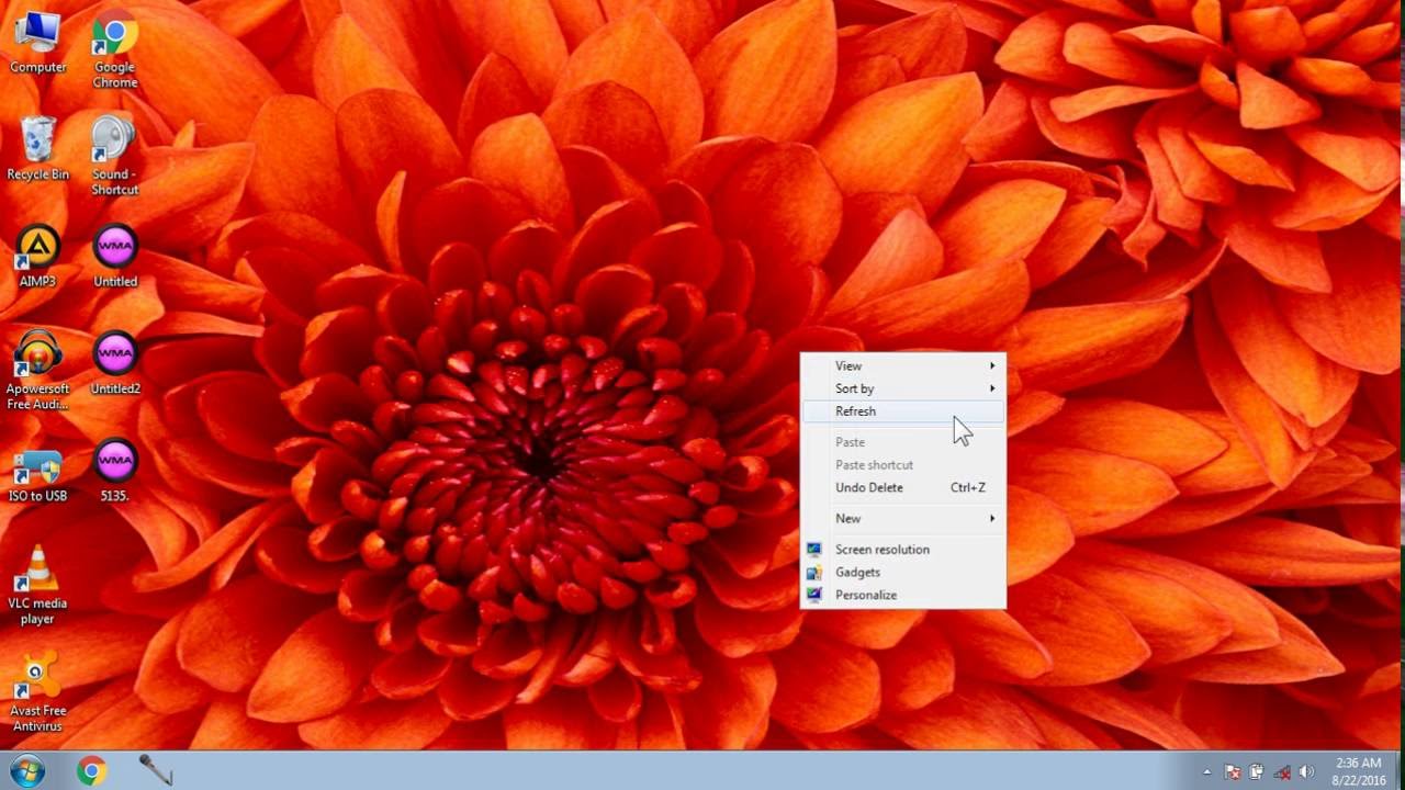 imagen fondo de pantalla,naranja,flor,pétalo,planta,melocotón