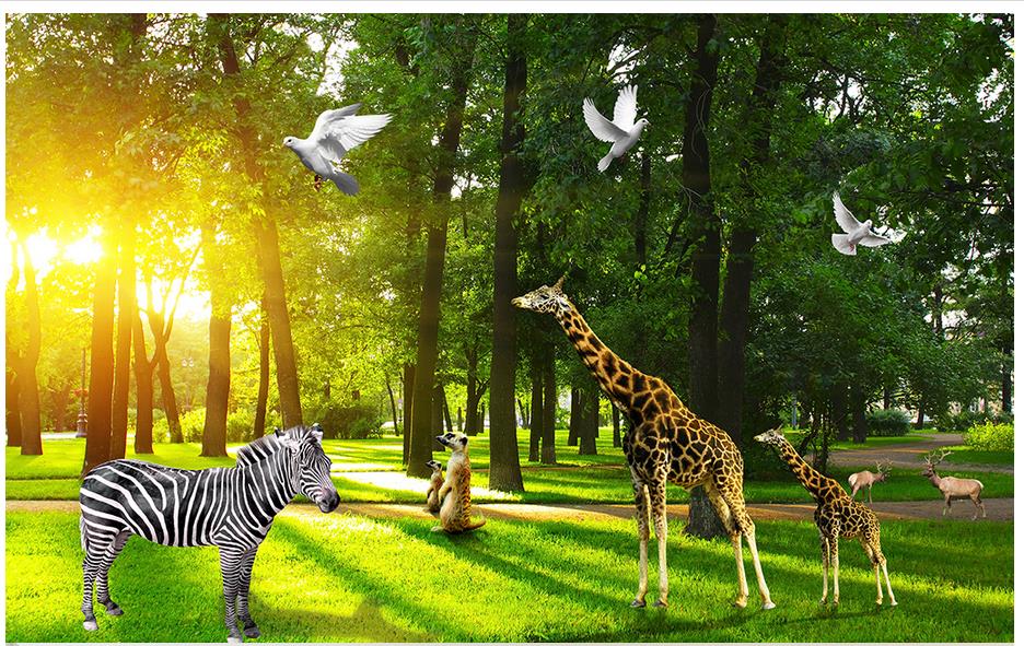 immagine di sfondo,animale terrestre,natura,giraffa,giraffidae,natura