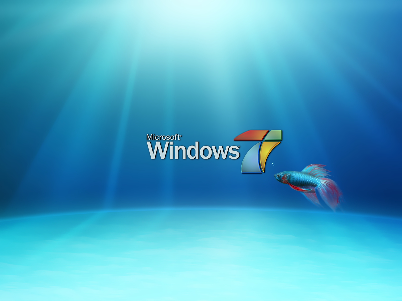 새로운 창 벽지,아쿠아,푸른,운영 체제,하늘,물