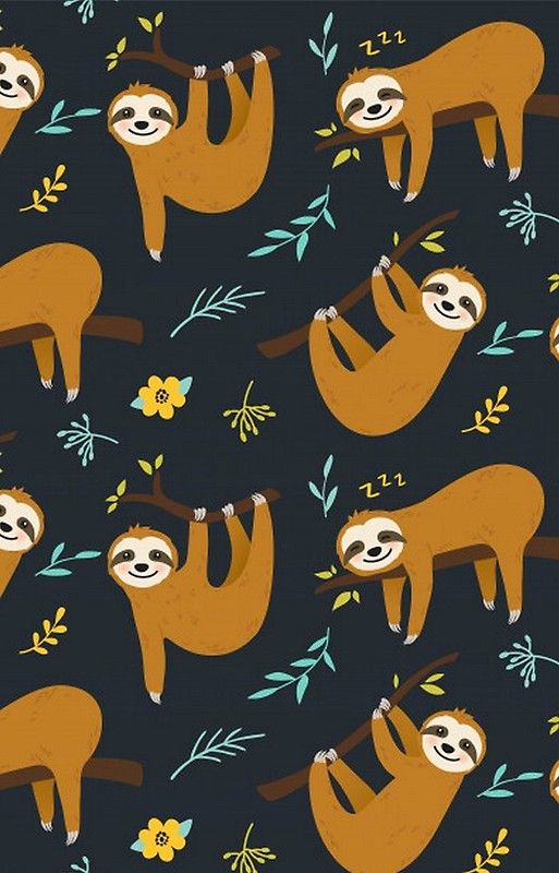 Cute Sloth Backgrounds- WallpaperUse