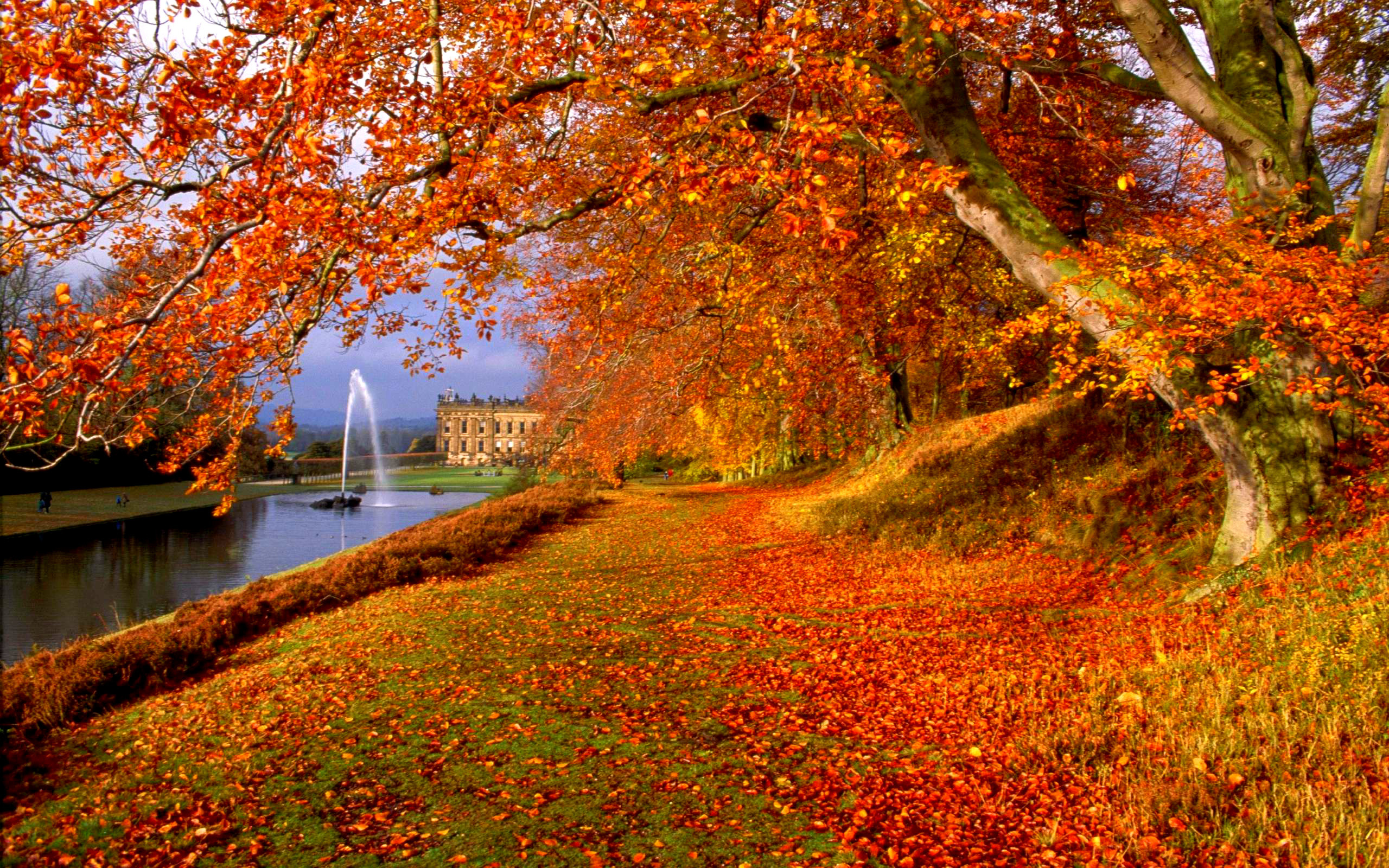 Autumn Wallpaper Background - England In Autumn Free- WallpaperUse