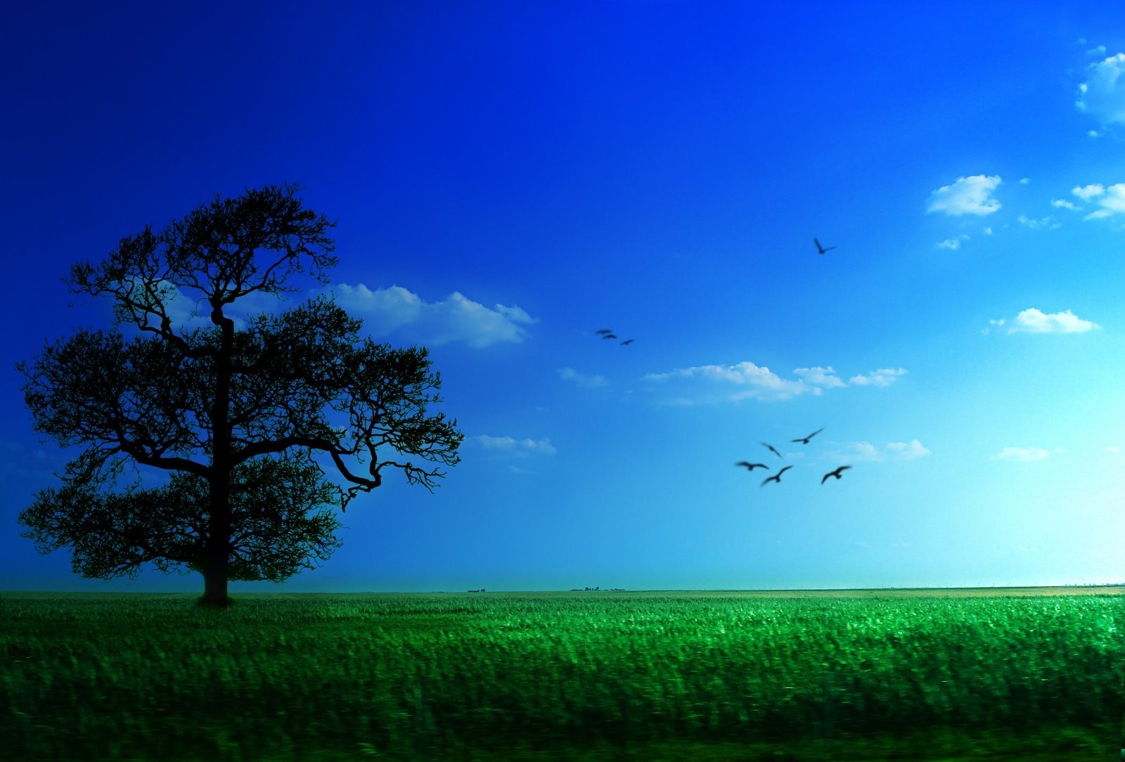 ogq wallpaper,himmel,natürliche landschaft,natur,grün,blau