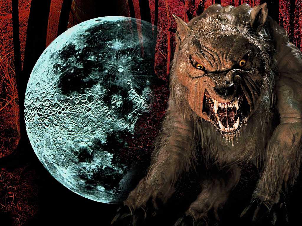 fond d'écran hombre lobo,loup garou,personnage fictif,loup,créature mythique,croc