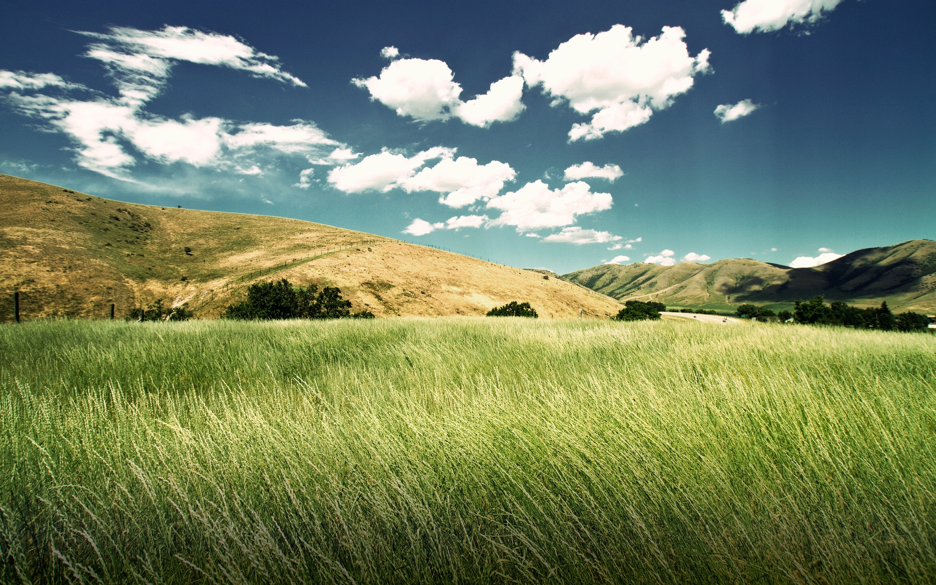 fond d'écran poze hd,paysage naturel,prairie,la nature,ciel,herbe
