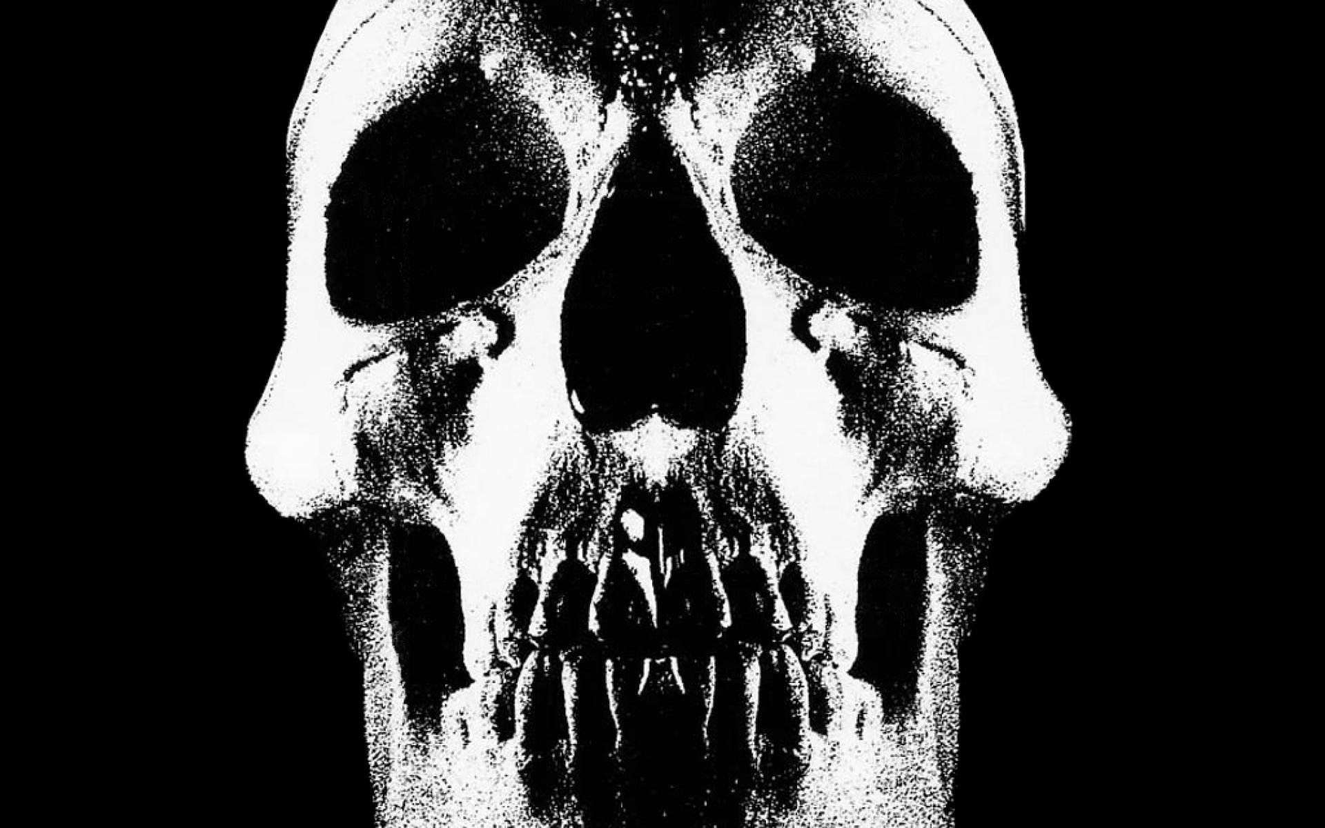 fondo de pantalla de deftones,hueso,cabeza,monocromo,en blanco y negro,mandíbula