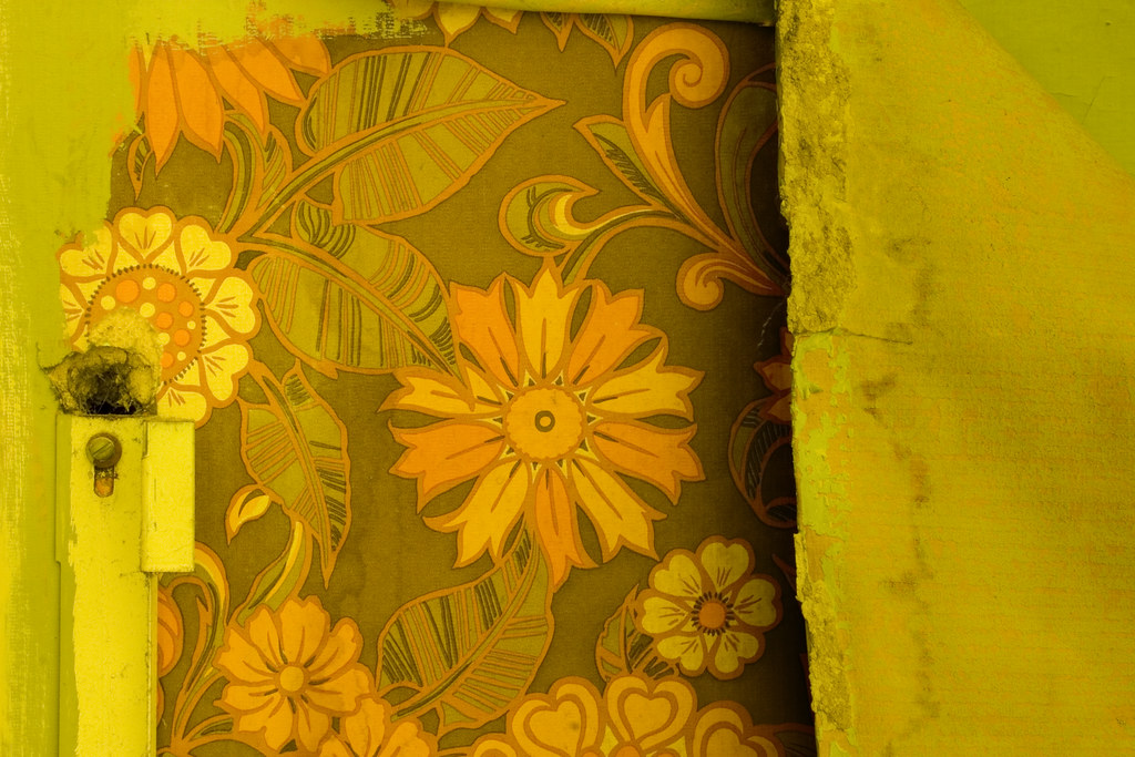 carta da parati anni sessanta,giallo,girasole,girasole,fiore,pianta