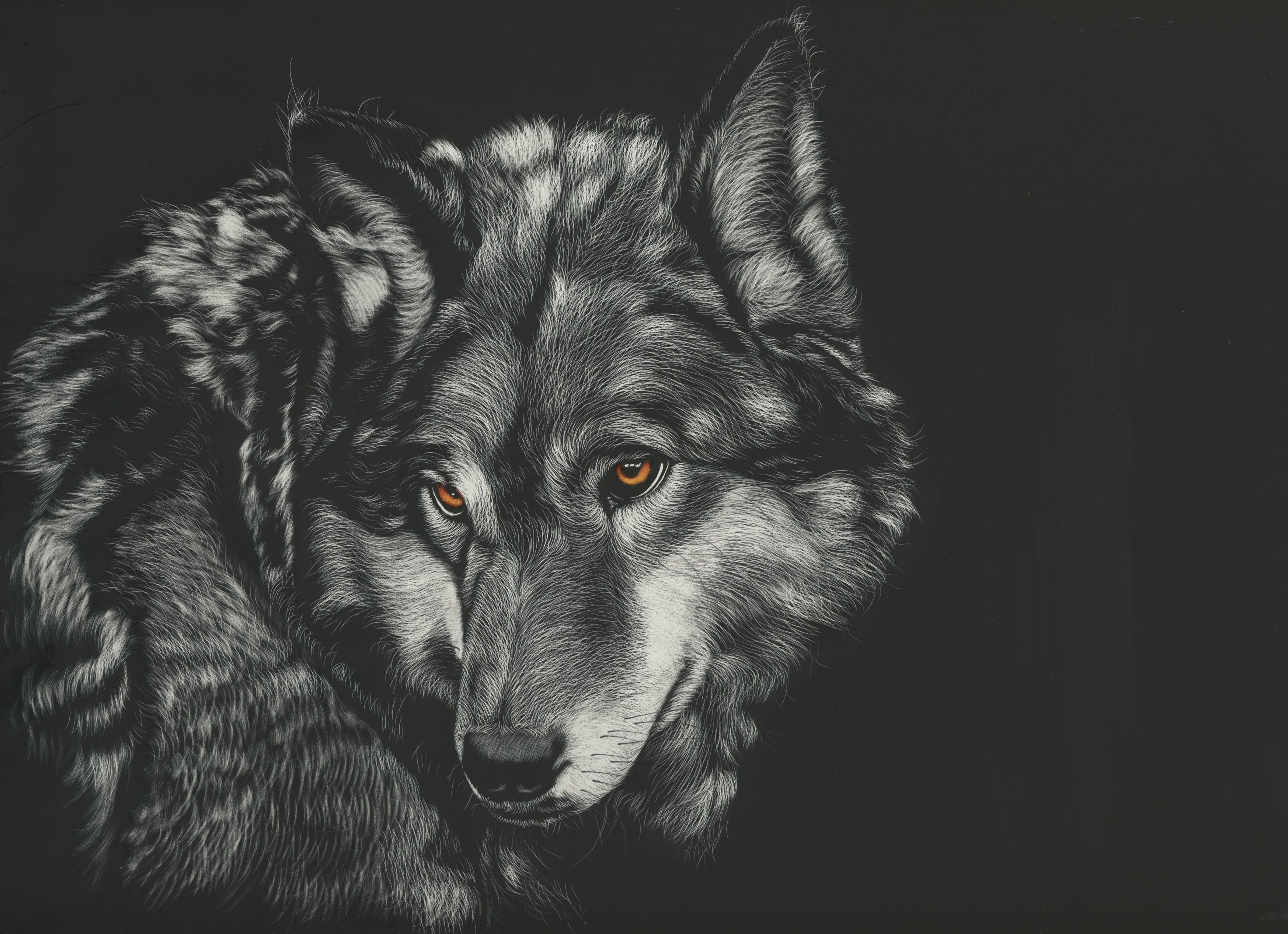 4k Wallpaper Iphone Xs Wolf- WallpaperUse