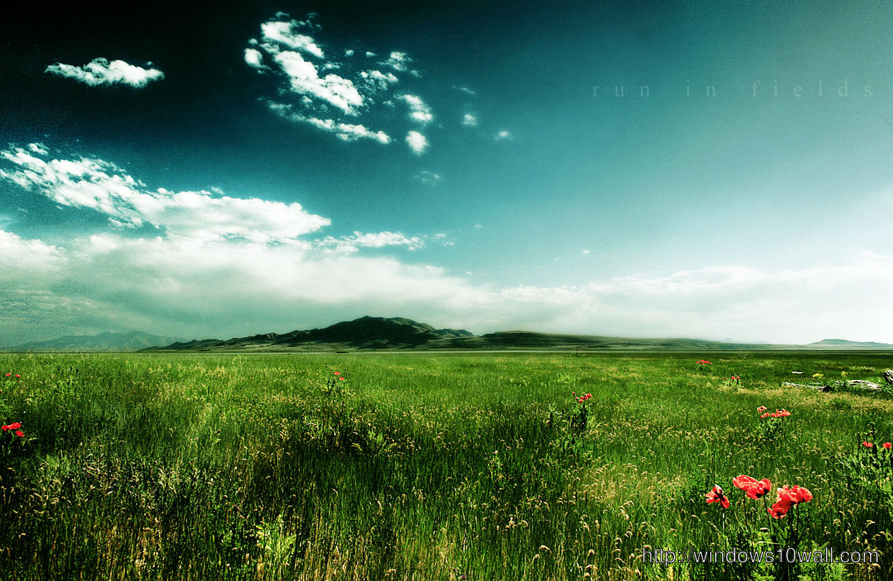 壁紙hp lenovo,自然の風景,空,自然,草原,緑