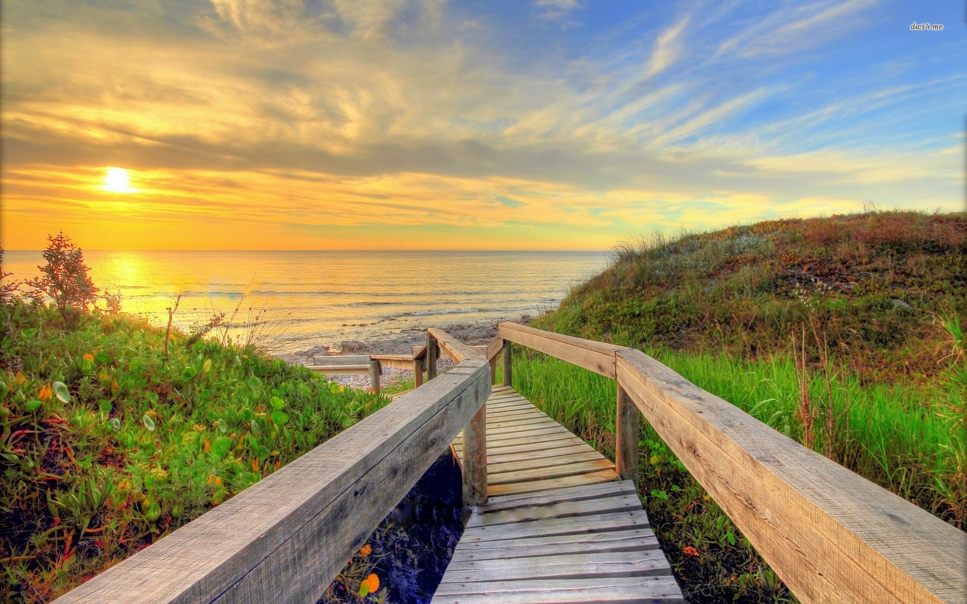 Path On The Beach- WallpaperUse